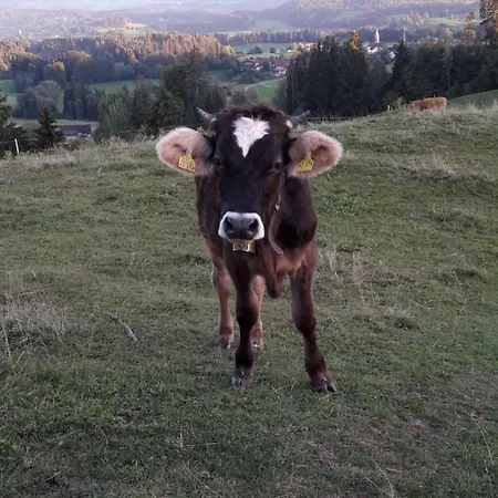 In 2821 * Immenstadt im Allgäu